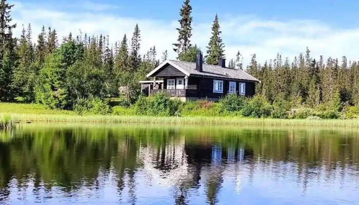 Statskog Elgstolen Landskap - Rendalen