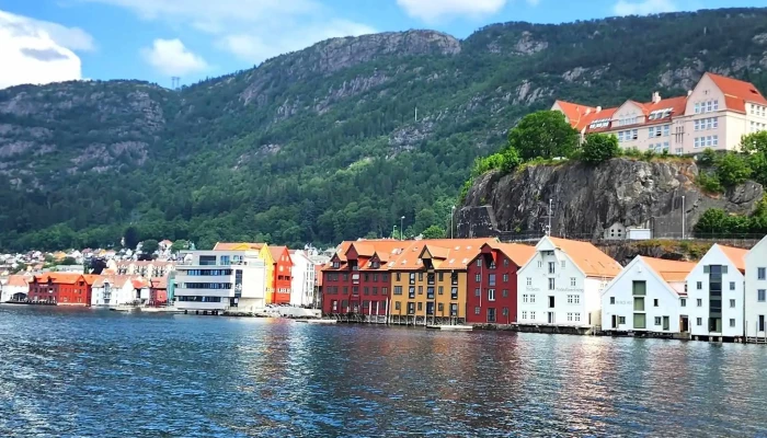 Stiftelsen Bergen Kjott Videoer - Bergen