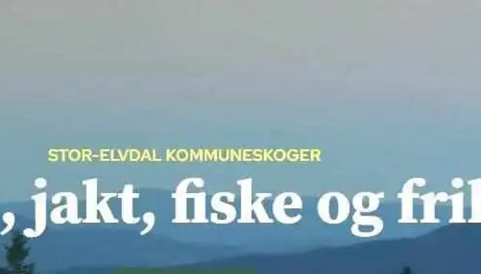 Stor -  Elvdal Kommuneskoger Kf Fra Eieren - Koppang