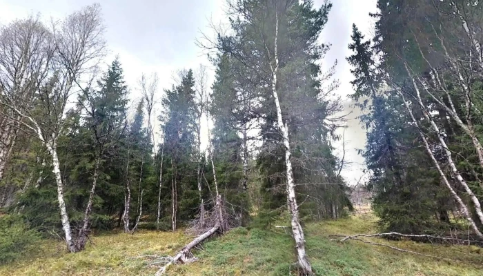 Stor -  Elvdal Street View 360deg - Stor-elvdal