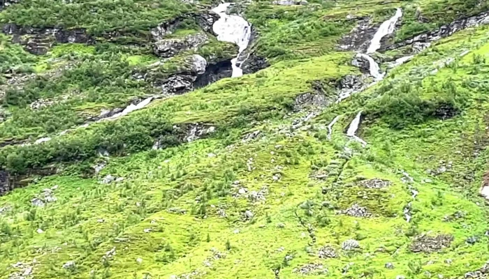 Stranda -  Adresse - Stranda