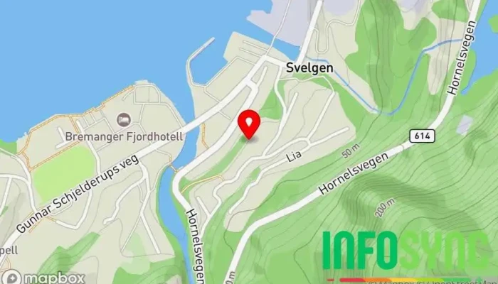 kart over Svelgen  i Svelgen