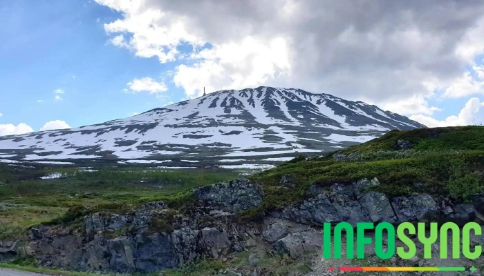 Svineroi - Norge