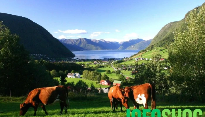 Sylvringen As -  Alle - Vik I Sogn