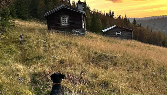 Sør-Fron kommune - Sør-Fron
