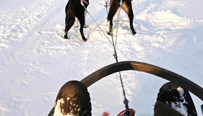 Tana Husky -  Nær Meg - Tana Bru
