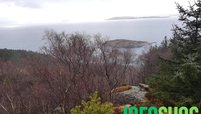 Tau fort - Norge