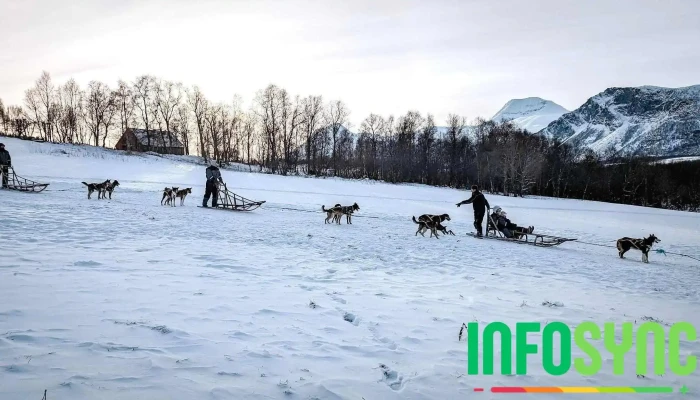 Team Lyngen Tours -  Fjell - Lyngseidet