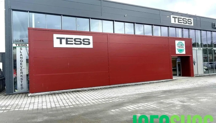 Tess Stjørdal - Stjørdal