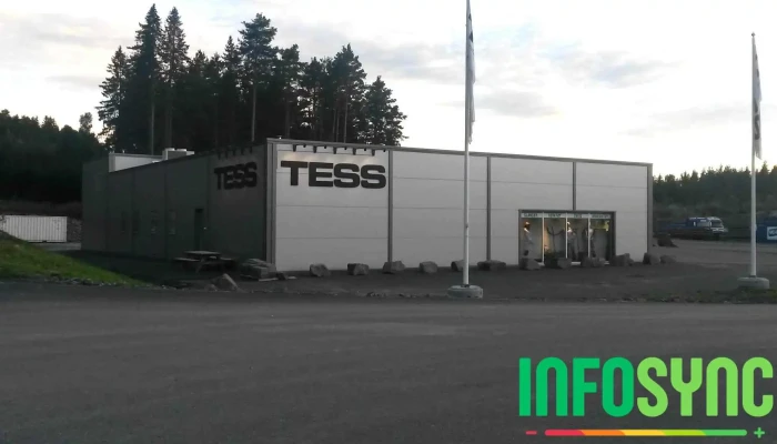 Tess Vikersund - Vikersund