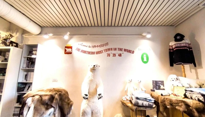 The Royal And Ancient Polar Bear Society -  Street View 360deg - Hammerfest