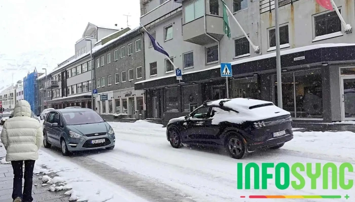 The Royal And Ancient Polar Bear Society -  Videoer - Hammerfest