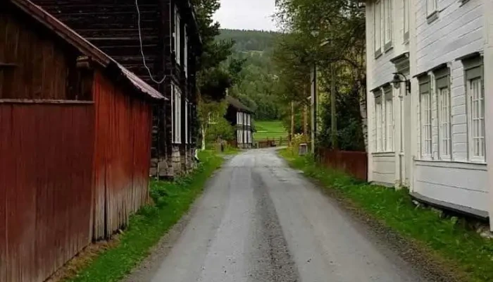 Tolga - Tolga
