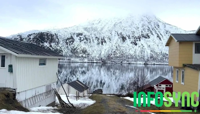 Torsken Krysset -  Videoer - Torsken