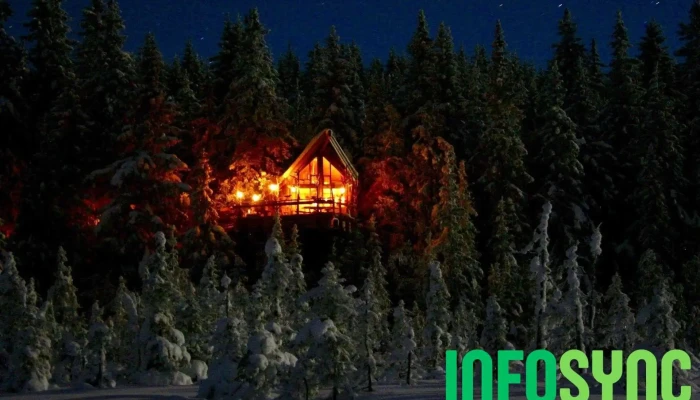 Tretopphytter -    Tree Top Hut   Treehouse Alle - Brumunddal