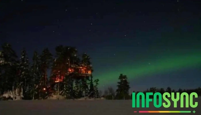 Tretopphytter -    Tree Top Hut   Treehouse Fra Eieren - Brumunddal