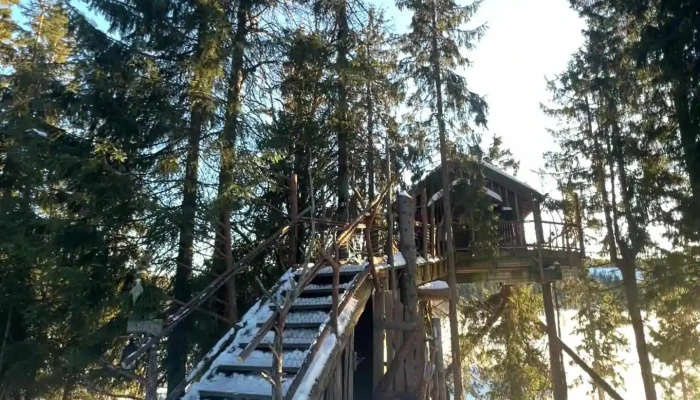Tretopphytter -    Tree Top Hut   Treehouse Videoer - Brumunddal