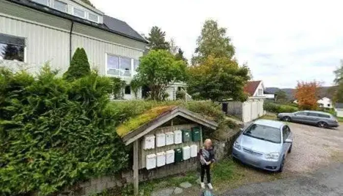 Tretopphytter I Namdalen Ans -  Alle - Namsos