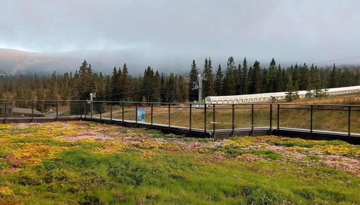 Trysil Hoyfjellssenter Hvordan Komme Dit - Trysil