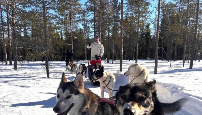 Trysil Husky -  Nettsted - Tørberget