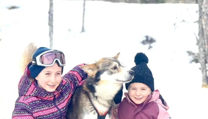 Trysil Husky -  Videoer - Tørberget