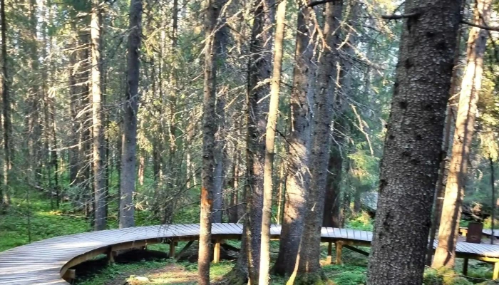 Trysil Turistcenter -  Adresse - Trysil