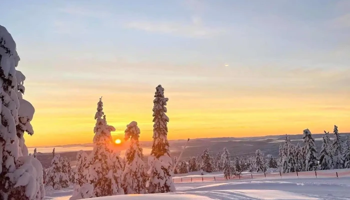 Trysil Turistcenter -  Fra Besokende - Trysil