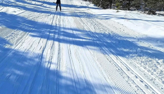 Trysilfjellet -  Adresse - Trysil