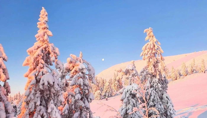 Trysilfjellet -  Rabatter - Trysil