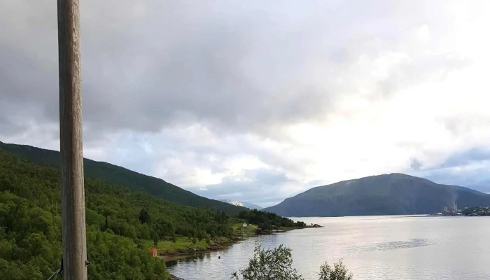 Tysfjorden -  Rabatter - Norway