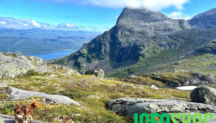 Tøttadalen - Narvik