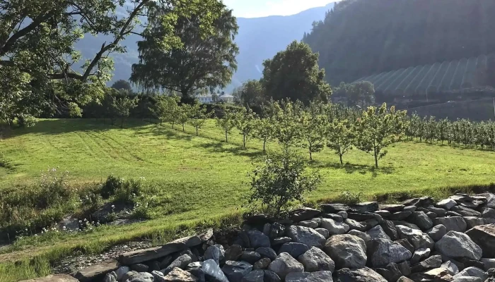 Ullensvang Kyrkjelege Fellesrad Plassering - Lofthus