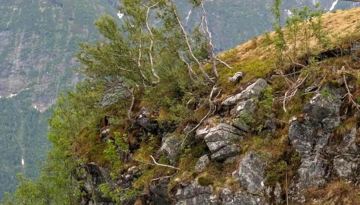 Utsikten Gaularfjellet -  Instagram - Balestrand