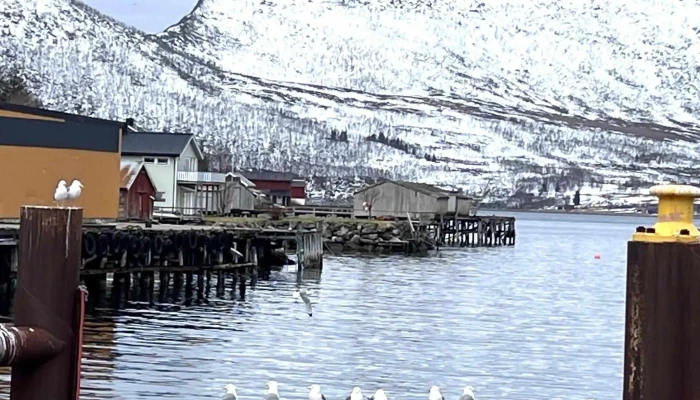 Utsiktspunkt -  Kommentarer - Gryllefjord