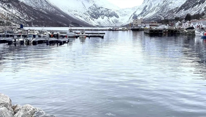 Utsiktspunkt -  Plassering - Gryllefjord