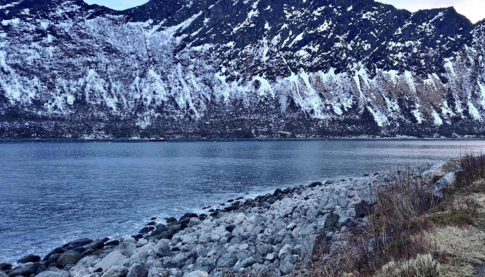 Utsiktspunkt -  Telefon - Gryllefjord