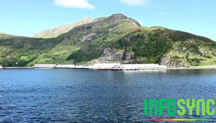 Vagsoy Videoer - Kinn
