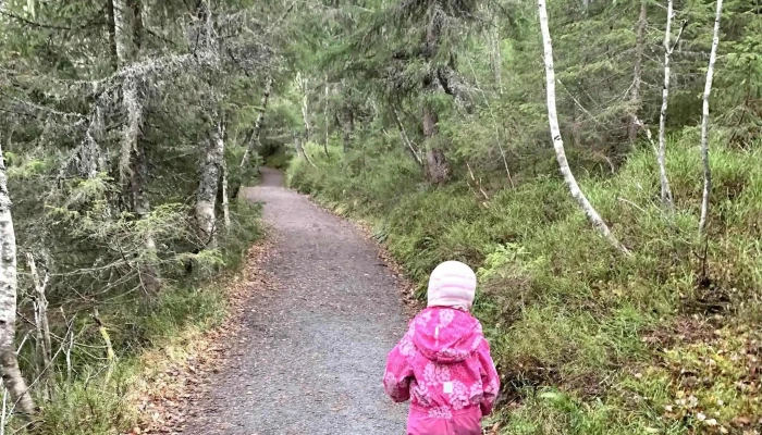 Vattan Utsiktspunkt - Leksvik