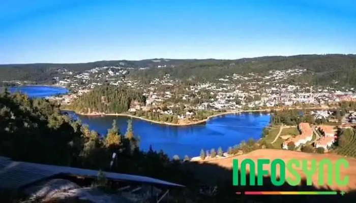 Vennesla Bibliotek -  Videoer - Vennesla