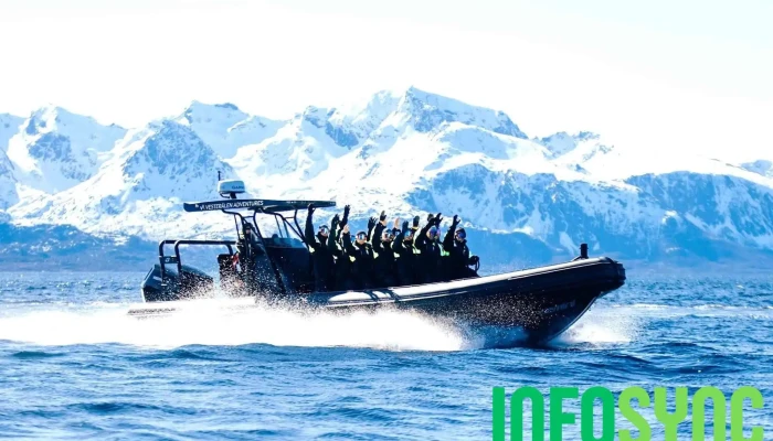 Vesterålen Adventures - Sortland