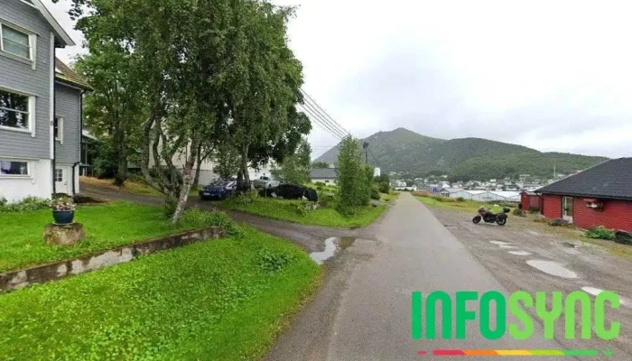 Vesterålen Multiservice As - Myre