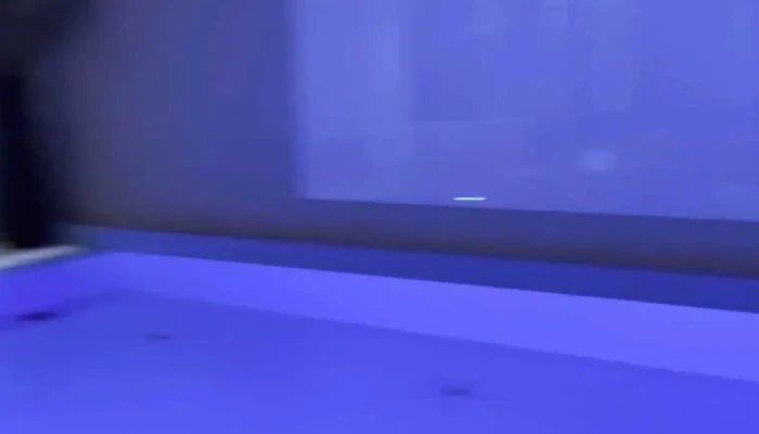 Vestlia Resort -  Videoer - Geilo
