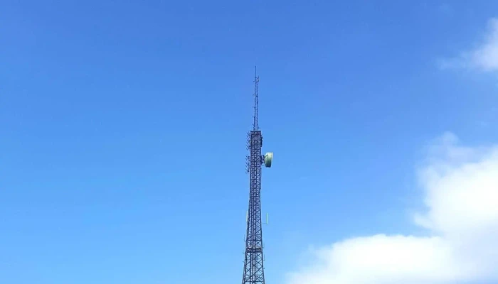 Vidden Start -  Telefon - Bergen