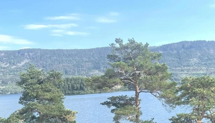Vik Skysstasjon As -  Instagram - Røyse