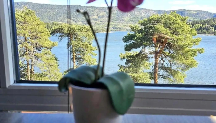 Vik Skysstasjon As -  Sist Opplastet - Røyse