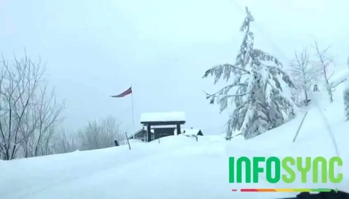 Visit Bo Videoer - Bø I Telemark