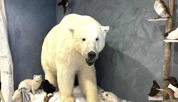 Visit Hammerfest -  Turistinformasjon - Hammerfest