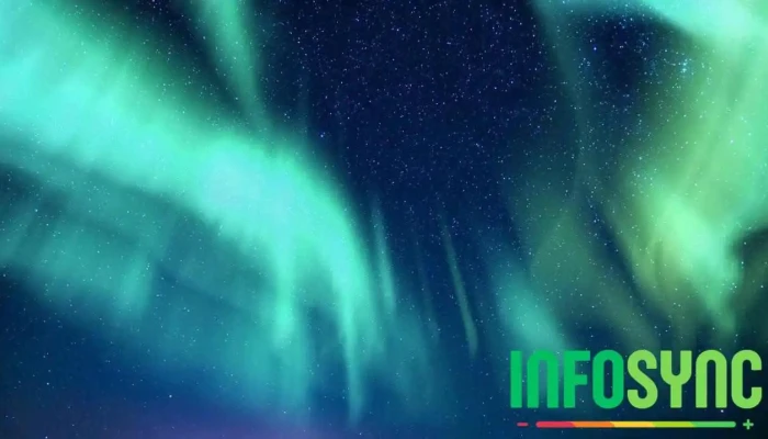 Visit Narvik -  Videoer - Narvik