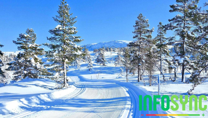 Visitsirdal365 As Fra Eieren - Tjørhom