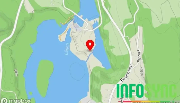 kart over Vittingfoss Elmek v/Lofsberg Maskinverksted i Hvittingfoss